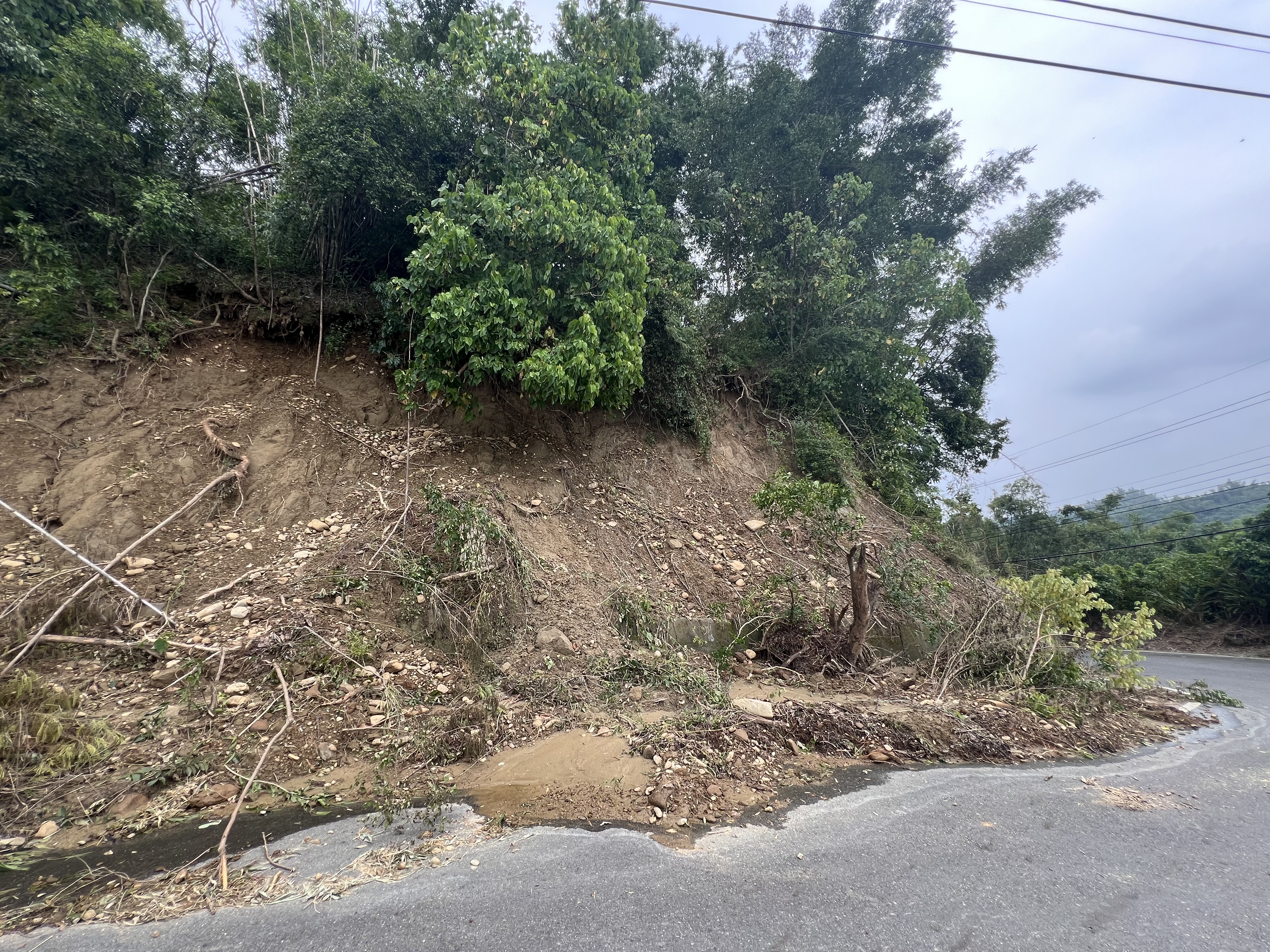 圖四　降雨事件造成泥岩邊坡發生岩屑崩滑（民國113年7月29日攝）